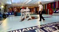 Ashihara Karate AIKO World Championship